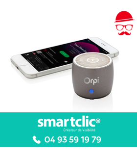 Enceinte sans fil "Swisspeak" (le lot de 10)